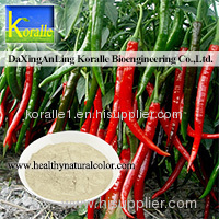 GMP Standard Capsaicin(5%-99%)