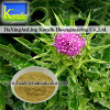 Milk Thistle Extract (Silymarin,Silybin)