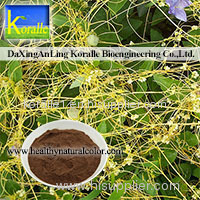 Dodder Seed Extract Powder(10:1,20:1)