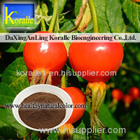 Rose Hip Extract