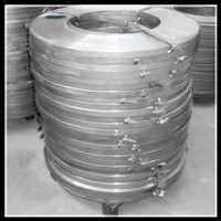 flat wire ribbonfil for industrial chain(08B-32A)