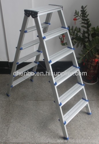 Double Step Ladder