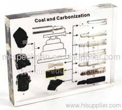 Coal and Carbonization Plastomount Educational Embedded Specimen