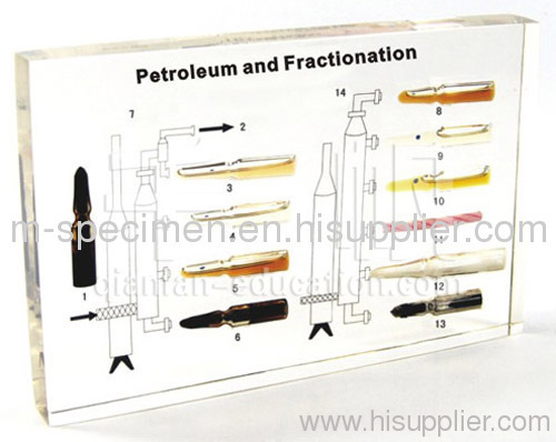 Petroleum and Fractionation Plastomount Educational Embedded Specimen