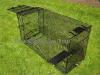 Folding Dog Trap for hunting