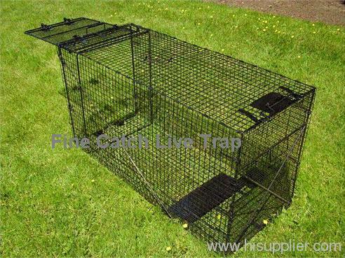 Dog trap