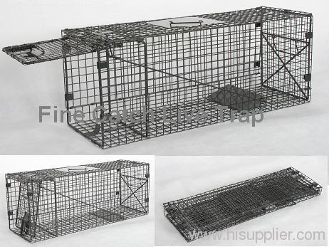 Animal Trap