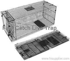 fox trap