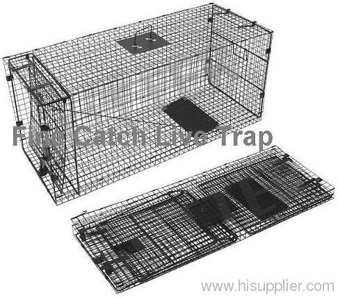 Collapsible fox trap for hunting equipment