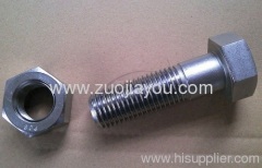 Stainless Steel Hex Nut And Bolt