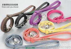 Pet collar & leash