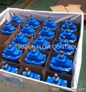 TONGLING TIANHAI FLOW CONTROL CO.,LTD.