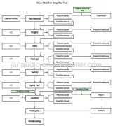 Flow Chat for Amplifier Test