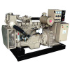 Power Diesel Generator Set With Perkins Engine