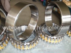 Double-Row Cylindrical Roller Bearing