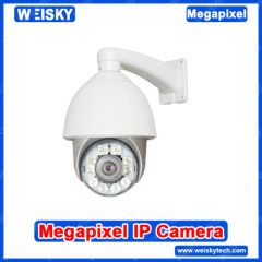 WEISKY 1/3 SONY 540TVL PTZ IP Camera