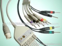 NEC one-piece 10-Lead EKG cable with leadwires