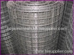 stainless steel welded wire mesh