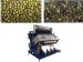 Mung bean separator/mun bean/sorting machine