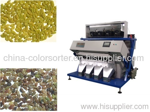 raisins high working capacity sorting machine
