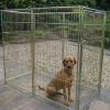 galvanised mesh dog kennel