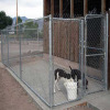 dog kennels and runs