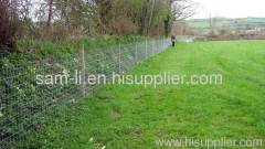 Cattle Fence