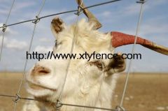 cattle rail fence pig breeding fence