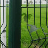 Garden-Fence