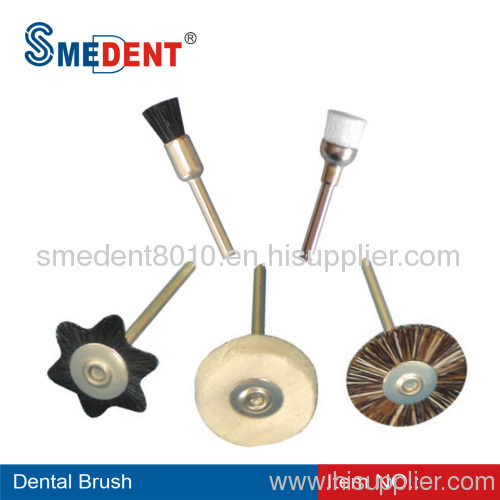 Sell Prophy Brush/Dental Brush Nylon or Bristle or Wool Availbale