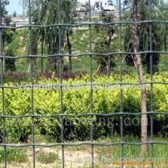 Holland Wire Mesh Fence