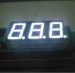 led 7-segment 3 digit white common cathode display ;