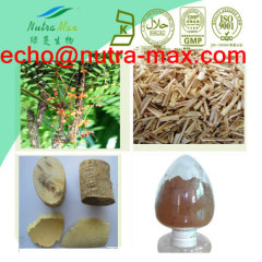 Eurycoma (Longjack) Extract 100:1Eurycoma Powder Extract