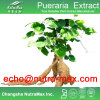 Pueraria (Kudzu Root) Extract 40% Isoflavnis