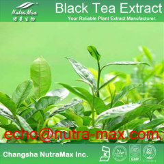 Black Tea Extract 40% TheaflavineBlack Tea Extract