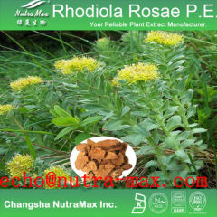 Rhodiola Rosae Extract Rosavins Rhodiola Rosae Powder Extr