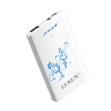 Ultra Slim Power Bank LS-B300