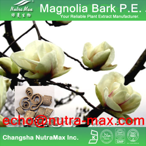 Magnolia Bark Extract Magnolia officinalis