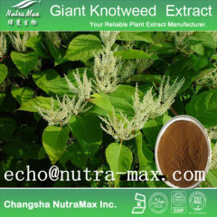 Giant Knotweed Extract 98% ResveratrolGiant Knotweed P.E.