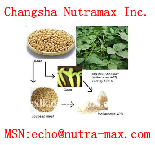 Soy bean Extract 40% IsoflavinesSoy bean powder extract