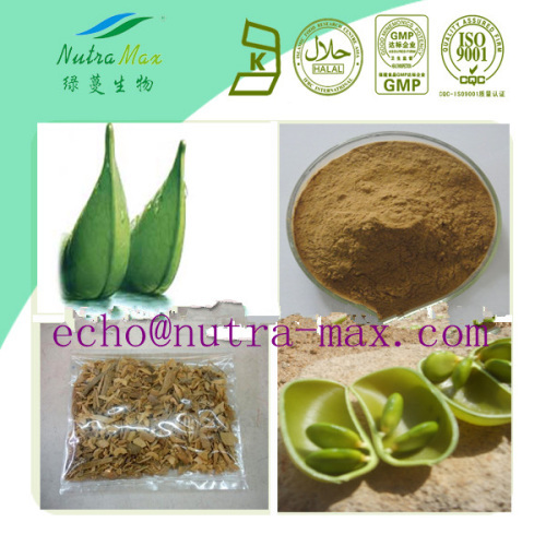Griffonia simplicifolia Seed Extract