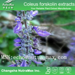 Coleus Forskohlii Extract Forskohlin