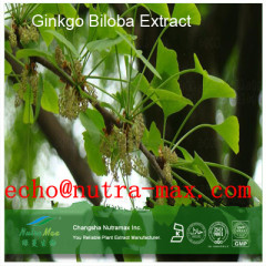 Ginkgo Biloba Extract 24%/6%/&lt;1ppm