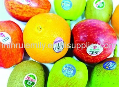 Custom Adhesive Water Proof Removable Colorful Fruits Labels with Your Custom Design,Logo and Company Name