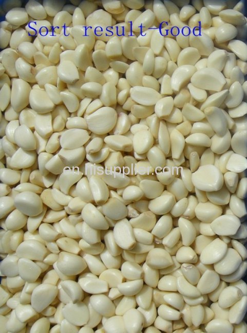Garlic slice High Speed CCD color sorter