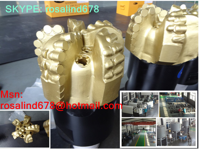 PDC bit / diamond bit