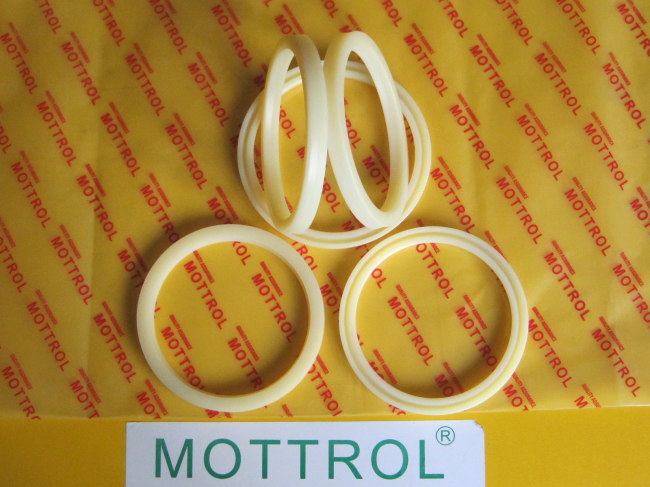 Rod Seal IDI ISI 60*75*9