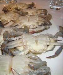 Soft Shell Crab