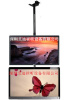 Plasma TV Ceiling Mount from shenzhen IADI Flat Panel TV Mount - Best Buy