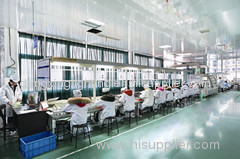 NINGBO DONGXING ELECTRIC CO.,LTD.